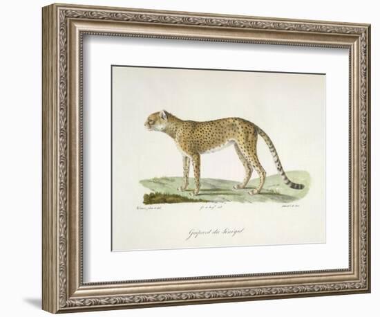 A Cheetah-Werner-Framed Giclee Print