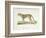 A Cheetah-Werner-Framed Giclee Print