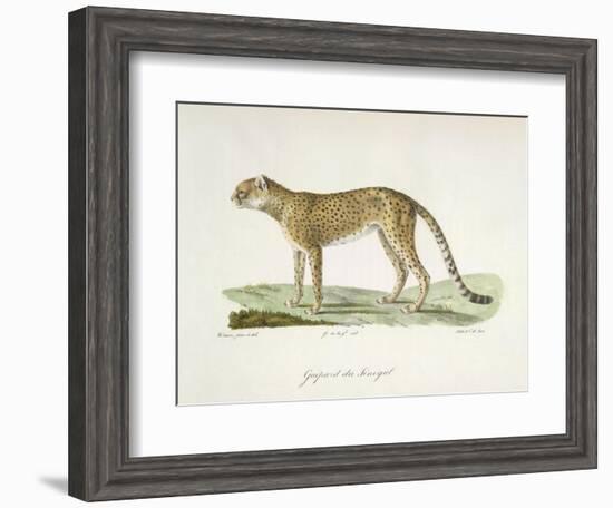 A Cheetah-Werner-Framed Giclee Print