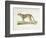 A Cheetah-Werner-Framed Giclee Print