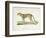 A Cheetah-Werner-Framed Giclee Print