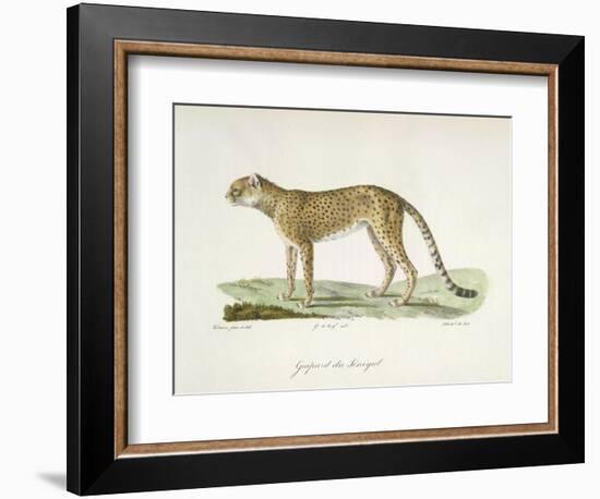 A Cheetah-Werner-Framed Giclee Print