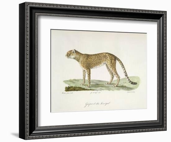 A Cheetah-Werner-Framed Giclee Print
