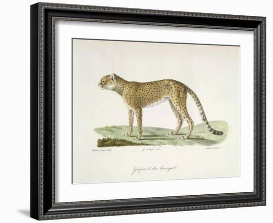 A Cheetah-Werner-Framed Giclee Print