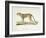 A Cheetah-Werner-Framed Giclee Print