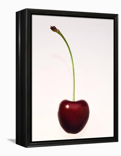 A Cherry Against a White Background-null-Framed Premier Image Canvas