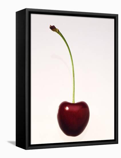 A Cherry Against a White Background-null-Framed Premier Image Canvas