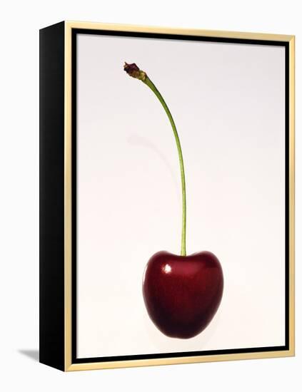 A Cherry Against a White Background-null-Framed Premier Image Canvas