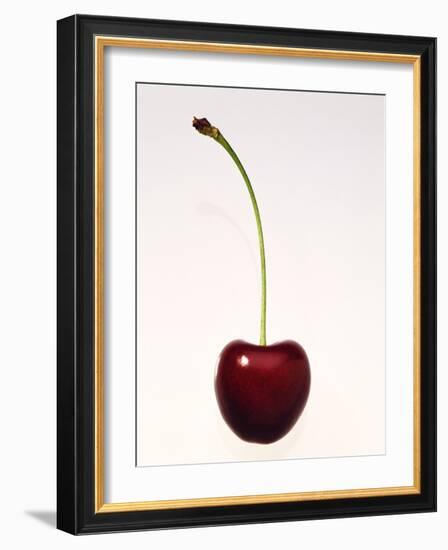 A Cherry Against a White Background-null-Framed Photographic Print