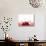 A Cherry Falling into Red Juice-Petr Gross-Photographic Print displayed on a wall