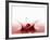 A Cherry Falling into Red Juice-Petr Gross-Framed Photographic Print