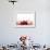 A Cherry Falling into Red Juice-Petr Gross-Framed Photographic Print displayed on a wall