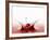 A Cherry Falling into Red Juice-Petr Gross-Framed Photographic Print