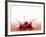 A Cherry Falling into Red Juice-Petr Gross-Framed Photographic Print