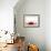 A Cherry Falling into Red Juice-Petr Gross-Framed Photographic Print displayed on a wall