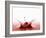 A Cherry Falling into Red Juice-Petr Gross-Framed Photographic Print