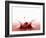 A Cherry Falling into Red Juice-Petr Gross-Framed Photographic Print