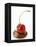 A Cherry on a Blob of Chocolate Sauce-Greg Elms-Framed Premier Image Canvas