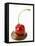 A Cherry on a Blob of Chocolate Sauce-Greg Elms-Framed Premier Image Canvas