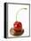 A Cherry on a Blob of Chocolate Sauce-Greg Elms-Framed Premier Image Canvas