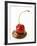 A Cherry on a Blob of Chocolate Sauce-Greg Elms-Framed Photographic Print