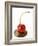 A Cherry on a Blob of Chocolate Sauce-Greg Elms-Framed Photographic Print