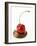 A Cherry on a Blob of Chocolate Sauce-Greg Elms-Framed Photographic Print