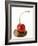 A Cherry on a Blob of Chocolate Sauce-Greg Elms-Framed Photographic Print