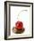 A Cherry on a Blob of Chocolate Sauce-Greg Elms-Framed Photographic Print