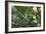 A Chestnut Bellied Euphonia, Euphonia Pectoralis, Perching in a Tree in Ubatuba-Alex Saberi-Framed Photographic Print