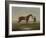 A Chestnut Horse (Possibly Old Partner) Held by a Groom-James Seymour-Framed Giclee Print