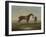 A Chestnut Horse (Possibly Old Partner) Held by a Groom-James Seymour-Framed Giclee Print