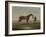 A Chestnut Horse (Possibly Old Partner) Held by a Groom-James Seymour-Framed Giclee Print