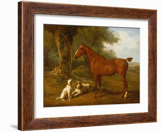 A Chestnut Hunter with a Briard and a Dalmatian-Jacques-Laurent Agasse-Framed Giclee Print