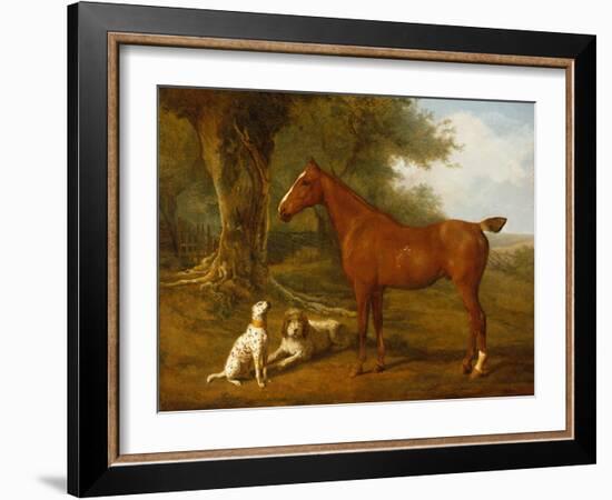 A Chestnut Hunter with a Briard and a Dalmatian-Jacques-Laurent Agasse-Framed Giclee Print