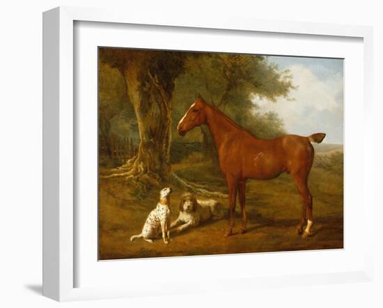 A Chestnut Hunter with a Briard and a Dalmatian-Jacques-Laurent Agasse-Framed Giclee Print