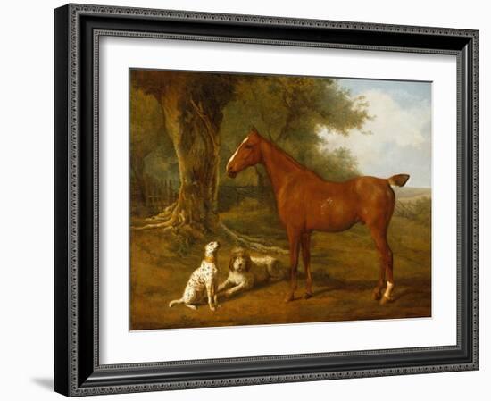 A Chestnut Hunter with a Briard and a Dalmatian-Jacques-Laurent Agasse-Framed Giclee Print