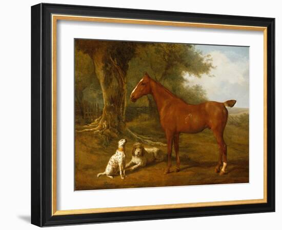 A Chestnut Hunter with a Briard and a Dalmatian-Jacques-Laurent Agasse-Framed Giclee Print