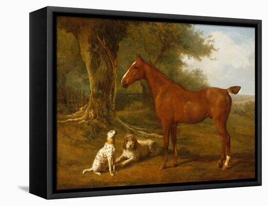 A Chestnut Hunter with a Briard and a Dalmatian-Jacques-Laurent Agasse-Framed Premier Image Canvas