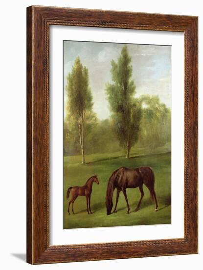 A Chestnut Mare and Foal in a Wooded Landscape, C.1761-63-George Stubbs-Framed Giclee Print