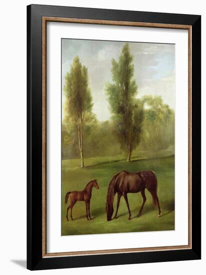 A Chestnut Mare and Foal in a Wooded Landscape, C.1761-63-George Stubbs-Framed Giclee Print