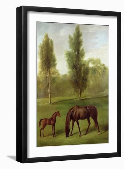 A Chestnut Mare and Foal in a Wooded Landscape, C.1761-63-George Stubbs-Framed Giclee Print