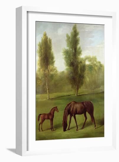 A Chestnut Mare and Foal in a Wooded Landscape, C.1761-63-George Stubbs-Framed Giclee Print