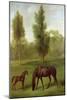 A Chestnut Mare and Foal in a Wooded Landscape, C.1761-63-George Stubbs-Mounted Giclee Print
