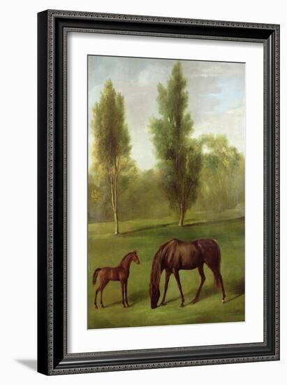 A Chestnut Mare and Foal in a Wooded Landscape, C.1761-63-George Stubbs-Framed Giclee Print