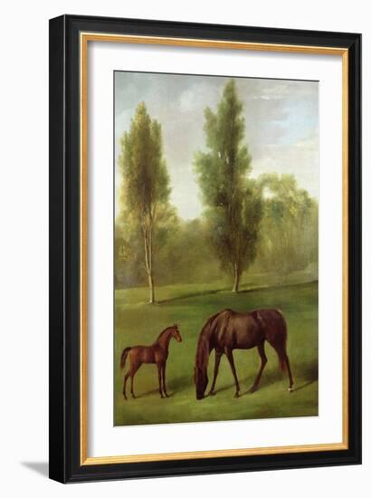 A Chestnut Mare and Foal in a Wooded Landscape, C.1761-63-George Stubbs-Framed Giclee Print