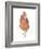 A Chicken Named Captain Morgan-Stacy Hsu-Framed Art Print