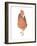 A Chicken Named Captain Morgan-Stacy Hsu-Framed Art Print