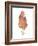 A Chicken Named Captain Morgan-Stacy Hsu-Framed Art Print