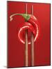 A Chili on Chopsticks-Marc O^ Finley-Mounted Photographic Print
